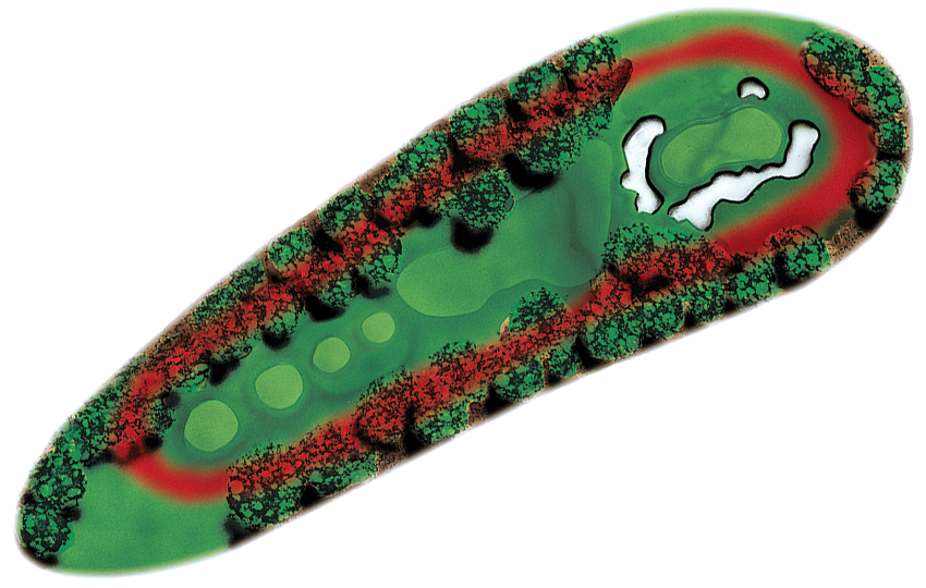 Hole 8